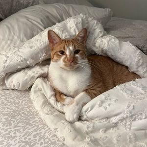 Meet your Posher, Bekah